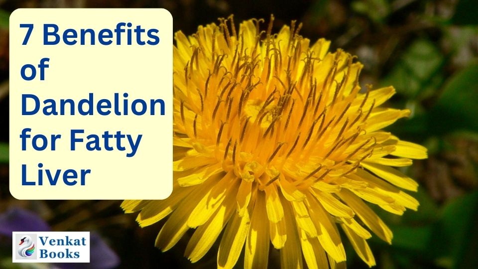 Dandelion Fatty Liver Remedies